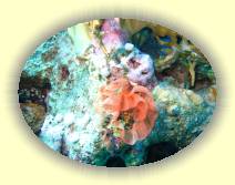 IMG_2007_05_29 14_14_39 * 3072 x 2304 * (1.19MB)